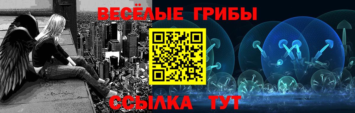 Галлюциногенные грибы мицелий  Вход с VPN  Протвино 